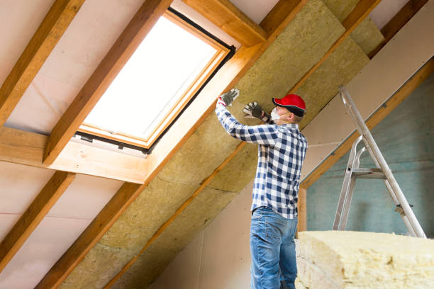 Eco-Friendly Insulation Solutions in Jacinto City, TX