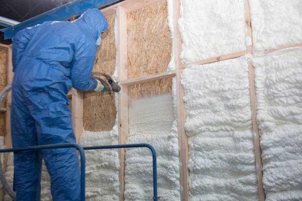 Best Eco-Friendly Insulation Solutions  in Jacinto City, TX